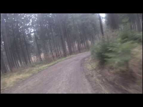 Waldtour  18 02 2017 1