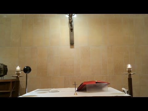 Misa para Jueves, el 8 de Octubre. Jueves de la XXVII Semana del Tiempo Ordinario