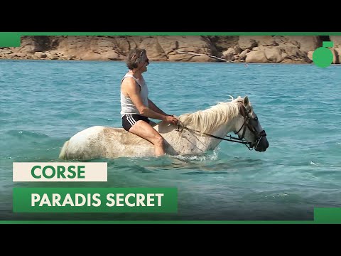 Corse : les trésors d'un paradis secret
