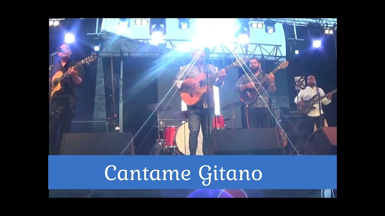 Promotional video thumbnail 3 for Kiko & Gipsyland