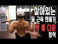 등 운동ㅣ살아 움직이는 섹시 백 등 근육 만들기 랫 풀 다운ㅣMSG훈