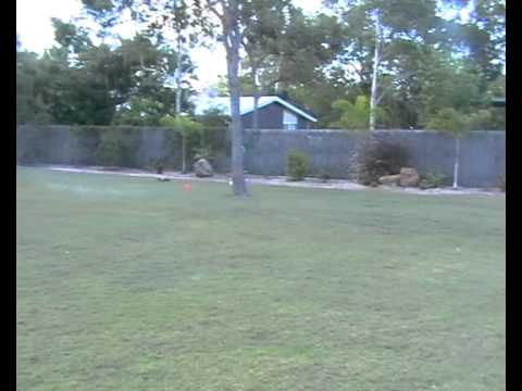 Buggy Backyard Racing.wmv