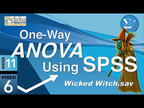 How to do a One-Way ANOVA in SPSS (12-6)