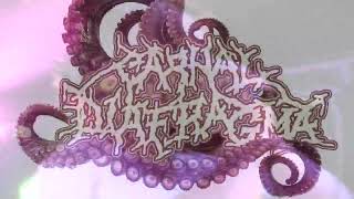 Video CARNAL DIAFRAGMA EN CDMX 2024