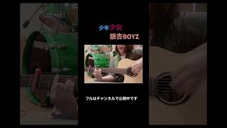 #少年少女　#銀杏boyz #弾き語り #歌ってみた #ギター弾き語り