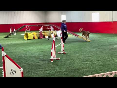 2/20/25 SuzieQ Farm 2