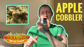 Apple Cobbler Strain Review