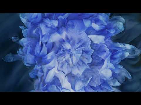 Video thumbnail for Нелюбимая (Unloved) (Strings Orchestra Studio Live)