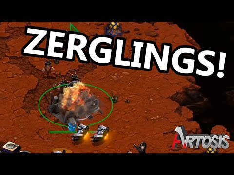 Mihu vs. DuGu G1 - Winner's Bracket Round 1 Match 2 - BSL S15 Asia Championships