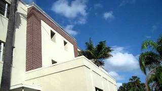 Download lagu Oil palm, or Elaeis guineensis update from FIT mp3