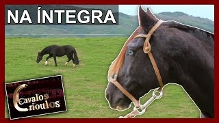 Miniatura do vídeo