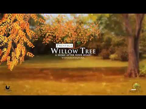 3D Tour of Prestige Willow Tree