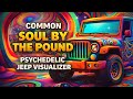 Common Soul By The Pound