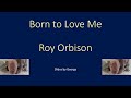 Roy Orbison   Born to Love Me  karaoke