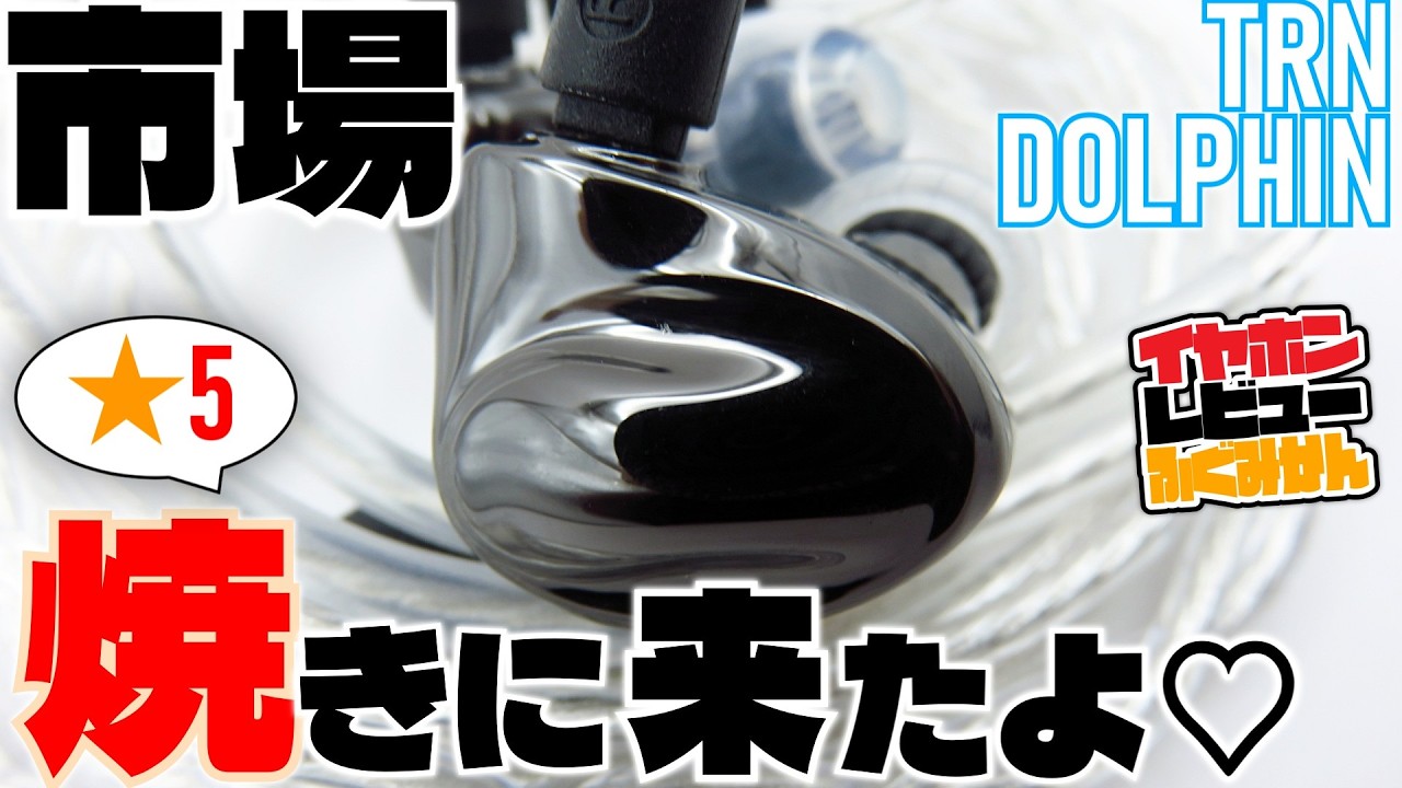 【★5|¥2,500】TRN Dolphin　低価格LCPの壁をぶち破る、高性能シングルDDイヤホンをレビュー。