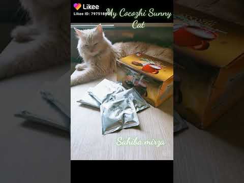 brain booster,,,, eye sight immune...,,,hight enhancer