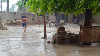 preview picture of video 'Raining Season In Punjab Village | Rural Life In Pakistan'