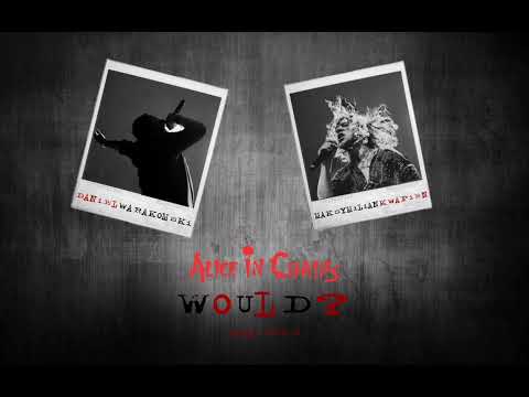 Alice In Chains - Would? (WARAKOMSKI & Maksymilian Kwapień Cover)