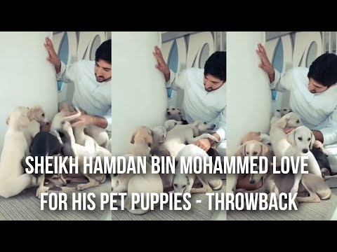 Sheikh Hamdan Fazza Love For His Pet Puppies Throwback