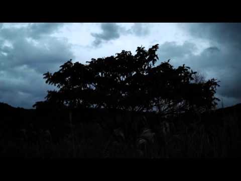【ASMR音フェチ】台風の時ような強風の音(自然音)