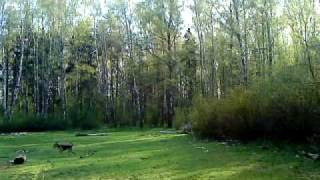 MOV00058