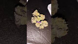 smoking on purple #purp #lilboosie #foryou