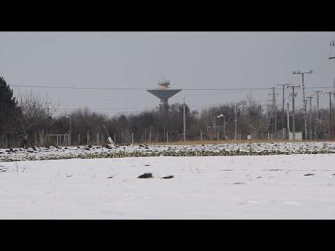 Csongrád TV - Híradó - 2017.01.18.