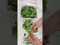 How to keep Mint fresh for long | Mint leaves storage