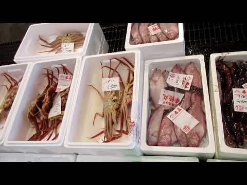 2023 11 16 Pescado Wakasa Obama ¡Segundo cangrejo del puerto de Obama! ! !