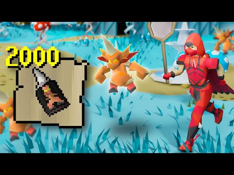 Loot From 2000 Dragon Implings