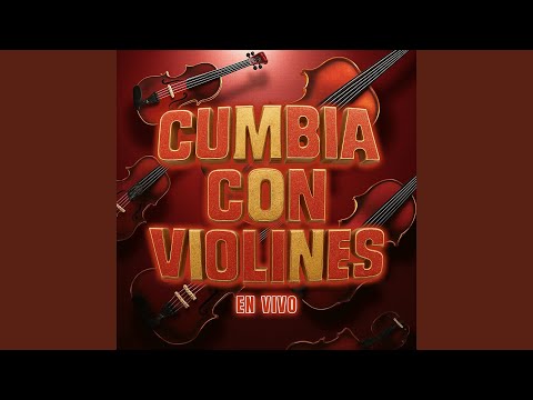 Sonido Nueva Rumba Violines Rumberos (En Vivo)