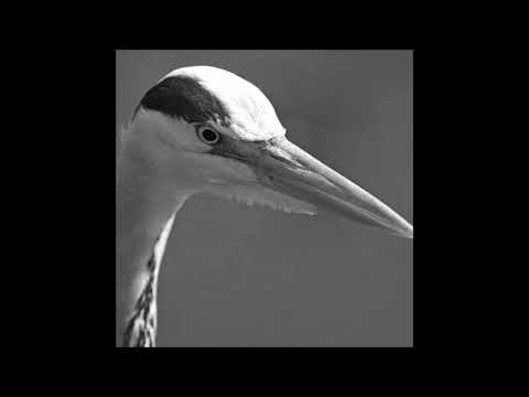 LPY Mix Series 10 - "Leeroy"