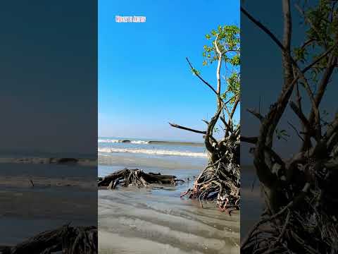 Beach 🏝 #medleybyarifin