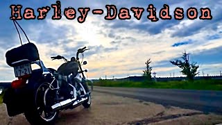 2026【早涼の侯 メンタル回復ツーリング】自宅が床下浸水しました #harleydavidson #ハーレー#スポーツスター#xl883l