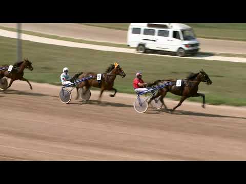 2021.08.14. 03. futam - SZIKRA DÍJ