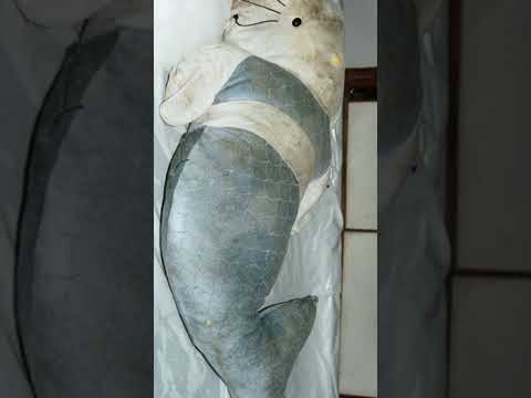 The Hello Kitty case  #truecrime #horrorstories #shorts