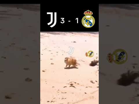 BIG win against Real Madrid 🔥🤍🖤