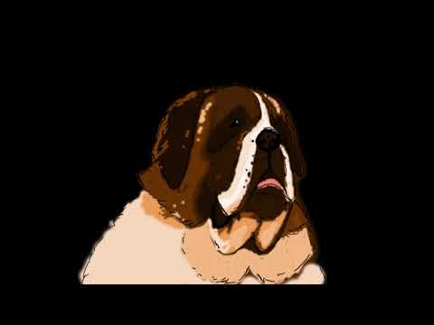 Ónodi Lea  - SHOWREEL