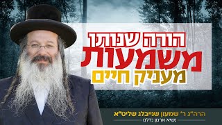 הורה שנותן משמעות מעניק חיים! | הרה"ג רבי שמעון שנייבלג שליט”א בדבר חינוך אקטואלי | פרשת בהעלותך