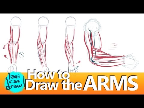HOW TO DRAW FOREARMS