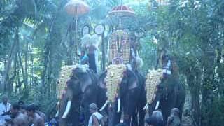preview picture of video 'Aadra Dharsana Mahlsavam'