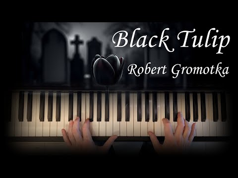 Black Tulip - Robert Gromotka | Emotional piano & violin cover