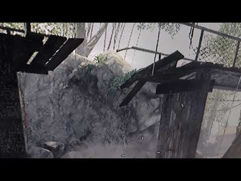 Qoitoro Tarinoiden Aito Sankari Sotilas Kuolematon Alku