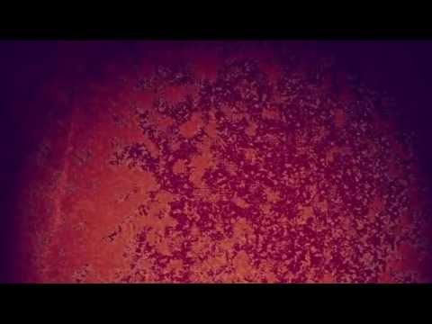 ENAMEL ANIMAL - 'Greetings Earthlings'