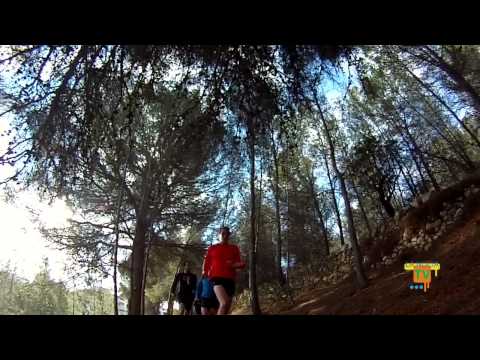 22/01/14 – Los hermanos Brownlee finalizan su ‘stage’ de pretemporada en La Nucía