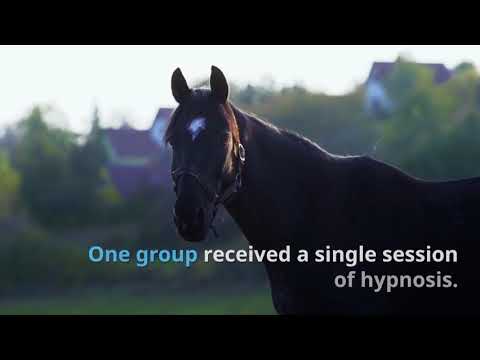 Can Hypnosis increase horse riding confidence?