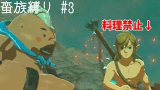 【ブレワイ縛り】えっ？！耐火の薬作れないゴロ？！【#3】