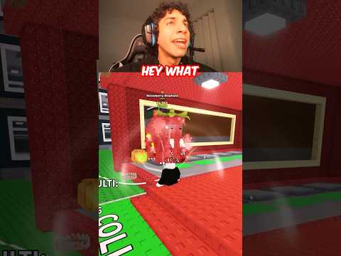 What Did He SAY???????