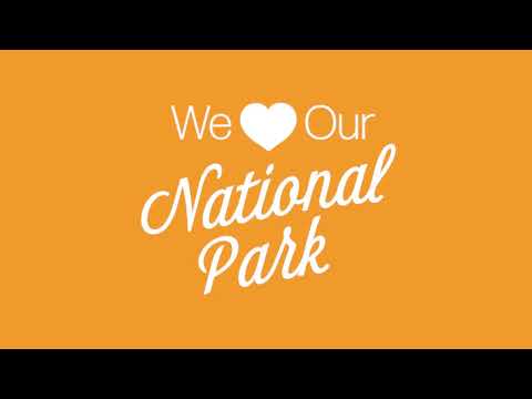 We Love Our National Park: The Great Sand Dunes