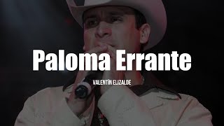 Valentin Elizalde - Paloma Errante (LETRA)